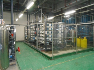 侧边联系好色先生AVAPP